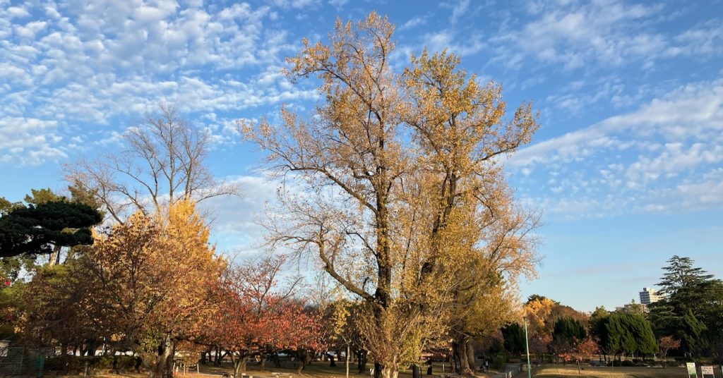 バイオグラフィーワーク7年周期